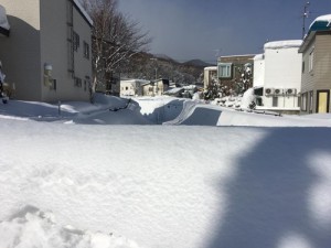 28055701web